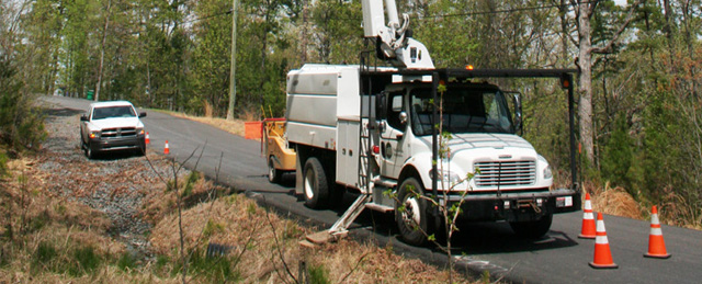 Vegetation Management Vital to Providing Reliable Power