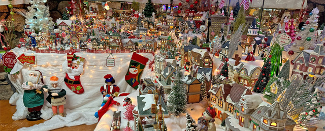 MEMBER SPOTLIGHT: Donna Chadick and Her Christmas City