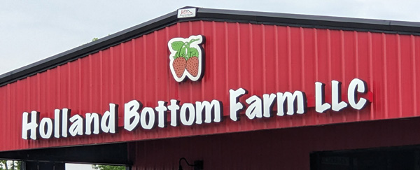 MEMBER SPOTLIGHT: Holland Bottom Farm in Cabot