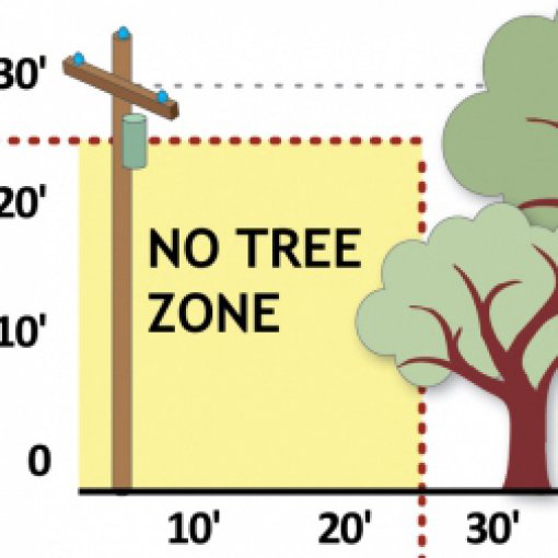 Tree Planting Guide