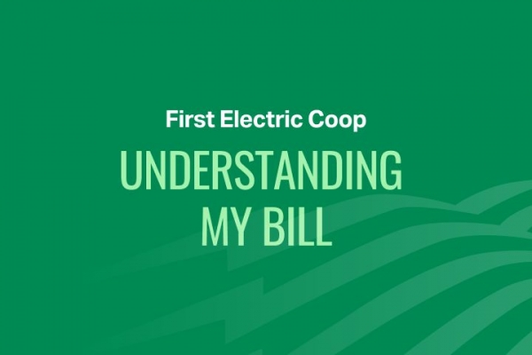 Understanding My Bill