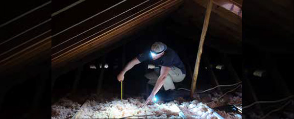 Powering Communities While Caring for the Land: Celebrating Earth Day